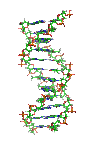 DNA orbit animation
